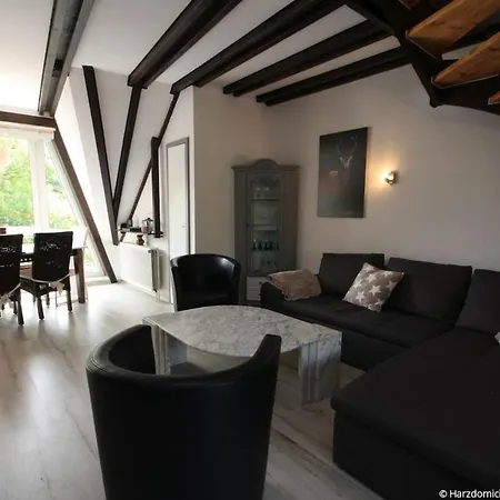 Zauberhirsch Braunlage