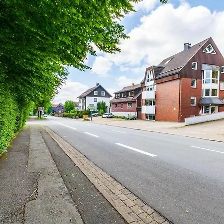 Zauberhirsch Braunlage